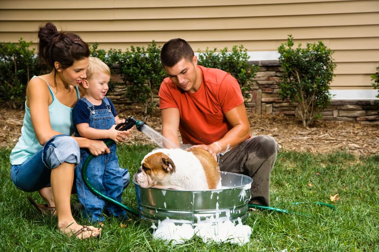 7 Cleaning Tips for Pet Owners Sunbelt Inspections of Cypress TX
