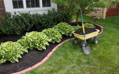 4 Simple Ways to Improve Curb Appeal